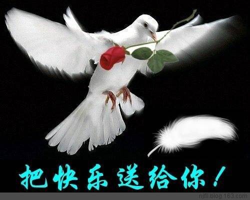 QQ图片20141116214021.jpg