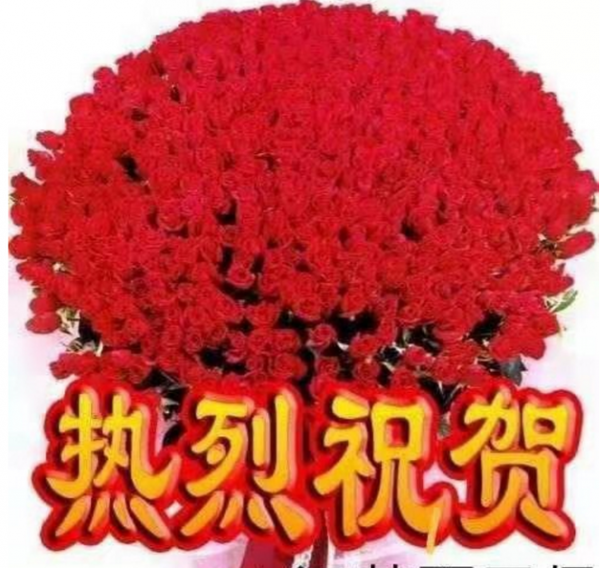 130246xffnh1x1s1fh4n66.png